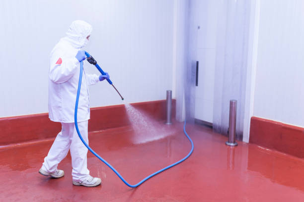 Best Commercial Pressure Washing in Stamps, AR